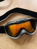 Skibrille Alpina doubleflex kaum getragen Rheinland-Pfalz - Koblenz Vorschau