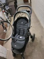 Kinderwagen/buggy Joie Nordrhein-Westfalen - Waltrop Vorschau