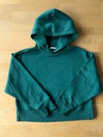 ZARA Basic Hoodie Kapuze grün M weich Leipzig - Kleinzschocher Vorschau