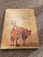 Katzen des Südens Buch Rostock - Brinckmansdorf Vorschau