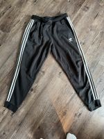 2 x Adidas Joghinghosen gr. L - Set Nordrhein-Westfalen - Bocholt Vorschau