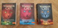 Warrior Cats Staffel 1  Band 1, Band 2 und Band 3  Erin Hunter Frankfurt am Main - Kalbach Vorschau