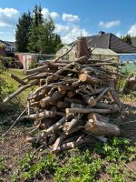 Brennholz Feuerholz Schleswig-Holstein - Itzehoe Vorschau