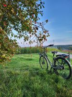 Neu Gazelle Heavy Duty Pistazien-Grün Fahrrad Rheinland-Pfalz - Trier Vorschau