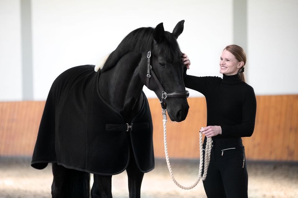 Mobiler Reitunterricht, Beritt, Trainer C Reiten Leistungssport in Hamburg