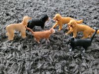 Schleich 16397 13938 13836 13770 Katze Hund Niedersachsen - Bad Lauterberg im Harz Vorschau