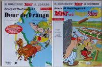 Asterix und Obelix  Mundart Mainfränkisch Hessen - Bensheim Vorschau