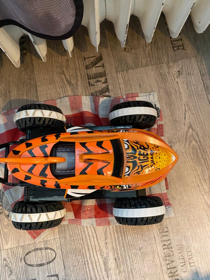 Hot Wheels Tiger Shark RC in Freiburg im Breisgau