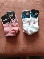 Neu 4 Paar Socken Strümpfe Gr 37/38 Berlin - Lichtenberg Vorschau