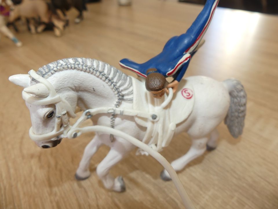 Schleich Voltigierset in Hermsdorf