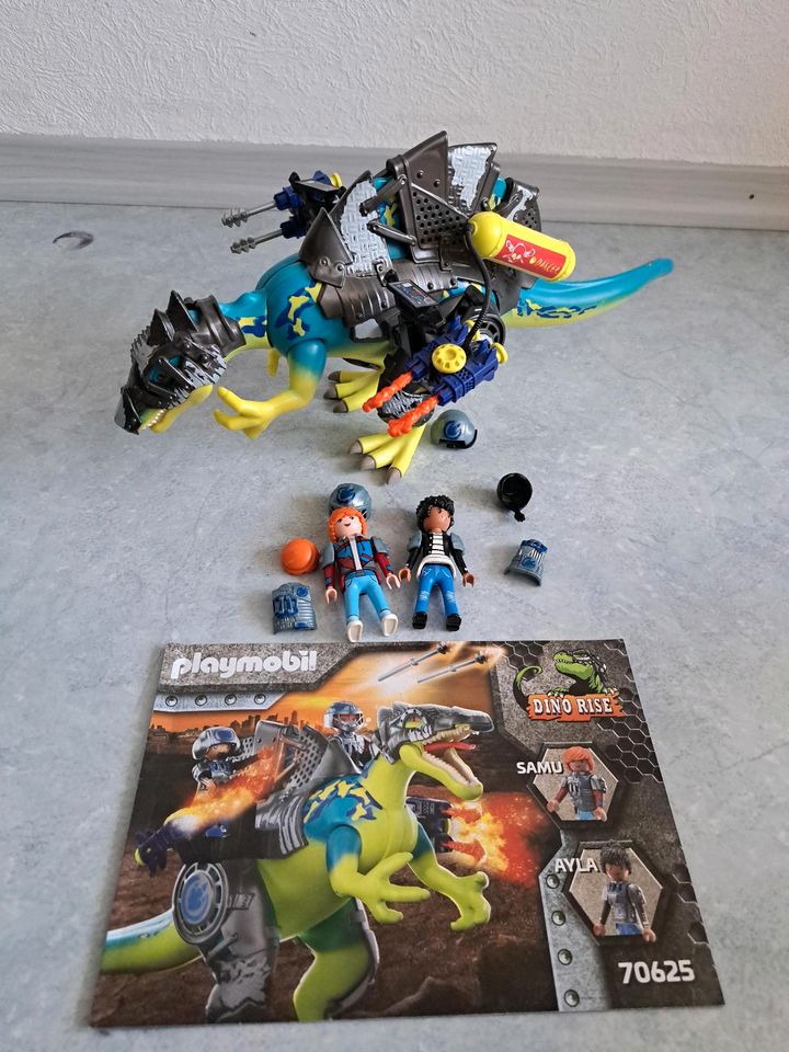 Playmobil Dino Rise 70623 70624 70625 70627 Konvolut ohne OVP in Appenweier