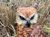 Eule Deko Vogel Gartenfigur Wetterfest Höhe 44 cm Lebensecht Rheinland-Pfalz - Waldbreitbach Vorschau