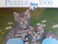 1000 Teile Katzen Puzzle Kinder Spielzeug Geduldspiel Tier Motiv Sachsen - Lengenfeld Vogtland Vorschau