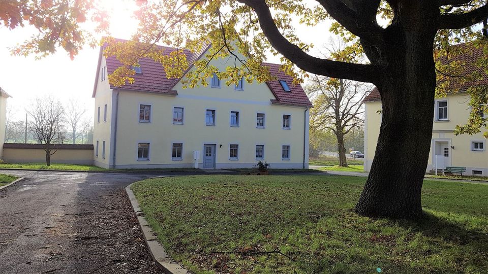 sehr schöne 2,5 Raum DG Wohnung mit Einbauküche in Priestewitz