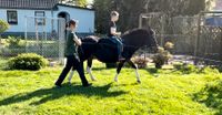 Hippotherapie/ Reittherapie Hansestadt Demmin - Zettemin Vorschau