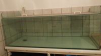 Hälterbecken Glas Aquarium Länge 147cm Bayern - Freystadt Vorschau