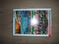 Fantasy Puzzle 2 x 1000 Teile (neu /OVP) - 15,00 € Münster (Westfalen) - Centrum Vorschau