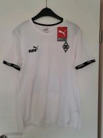 Borussia Mönchengladbach T Shirt, Neu, Größe S Sachsen - Neukirchen-Adorf Vorschau