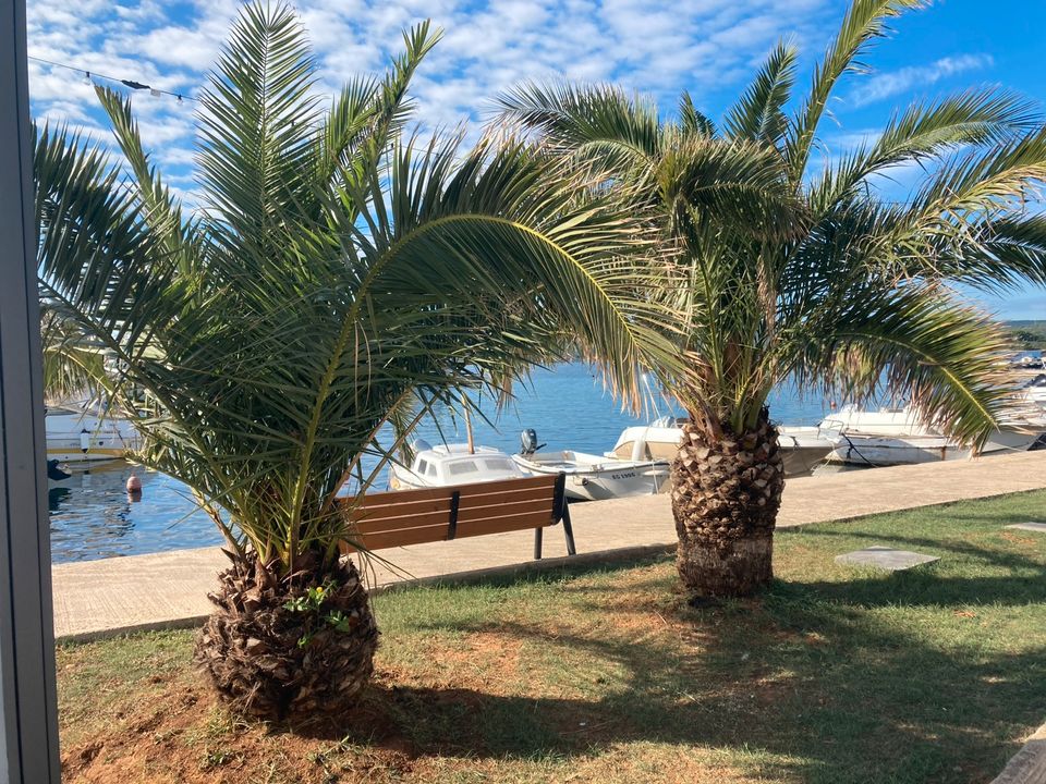 Wunderschönes Ferienhaus direkt am Meer Kroatien Zadar ☀️ in Berlin