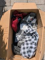 12 Oberteile Gr. M  Nike Adidas Tom Tailor Puma Reebok Esprit CMP Bayern - Forchheim Vorschau