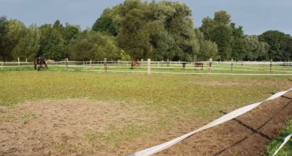 47906 Kempen Offenstall in Reitanlage zu vermieten in Kempen