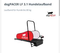 DogPacer Hunde Laufband Nordrhein-Westfalen - Pulheim Vorschau