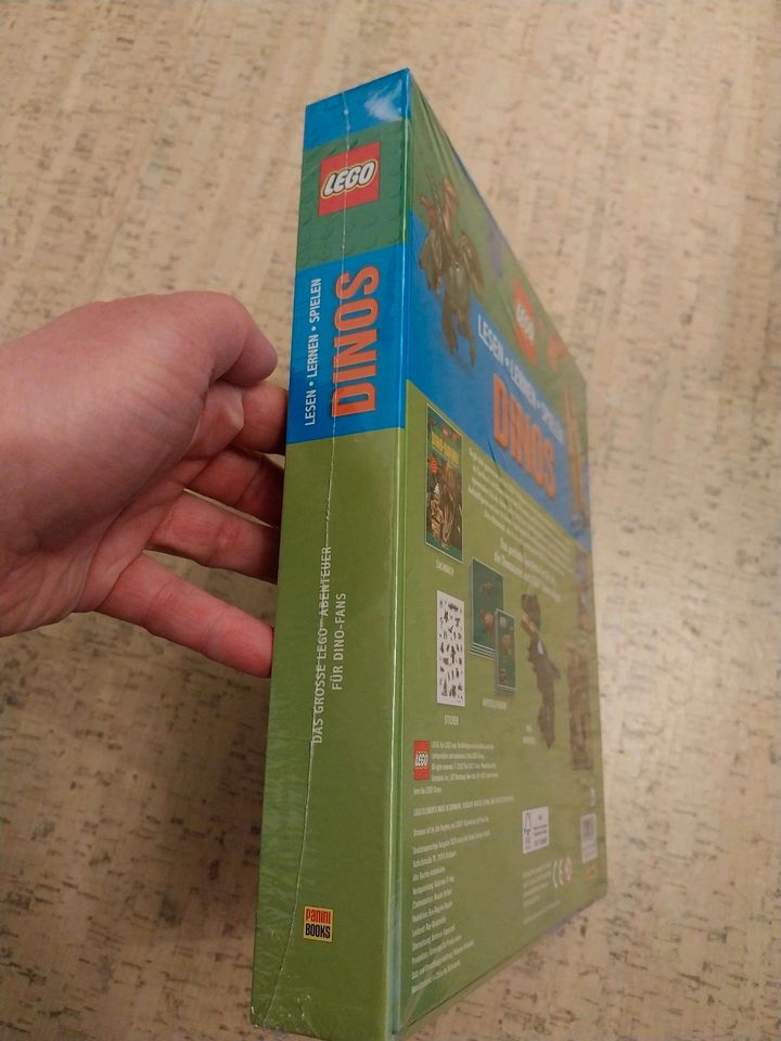 Lego Dinos Lesen Lernen Spielen in Alfter