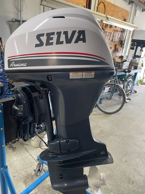 Selva Aruana 15 PS Motor in Barth