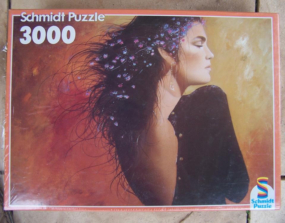 Schmidt Puzzle 3000 Teil original verpackt und ungeöffnet in Bubenheim