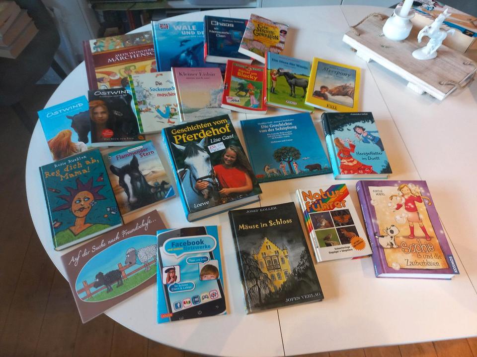 Jugendbücher Bücher Jugend Paket 20 Stück ostwind in Satrup