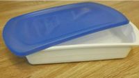 Tupperware  Four Seasons Lunchbox flach 1L Hessen - Lampertheim Vorschau