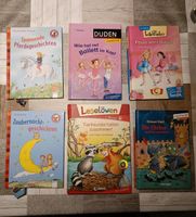 Erstleserbücher Bücher 1. Klasse für Mädchen und Jungen Bayern - Vohenstrauß Vorschau