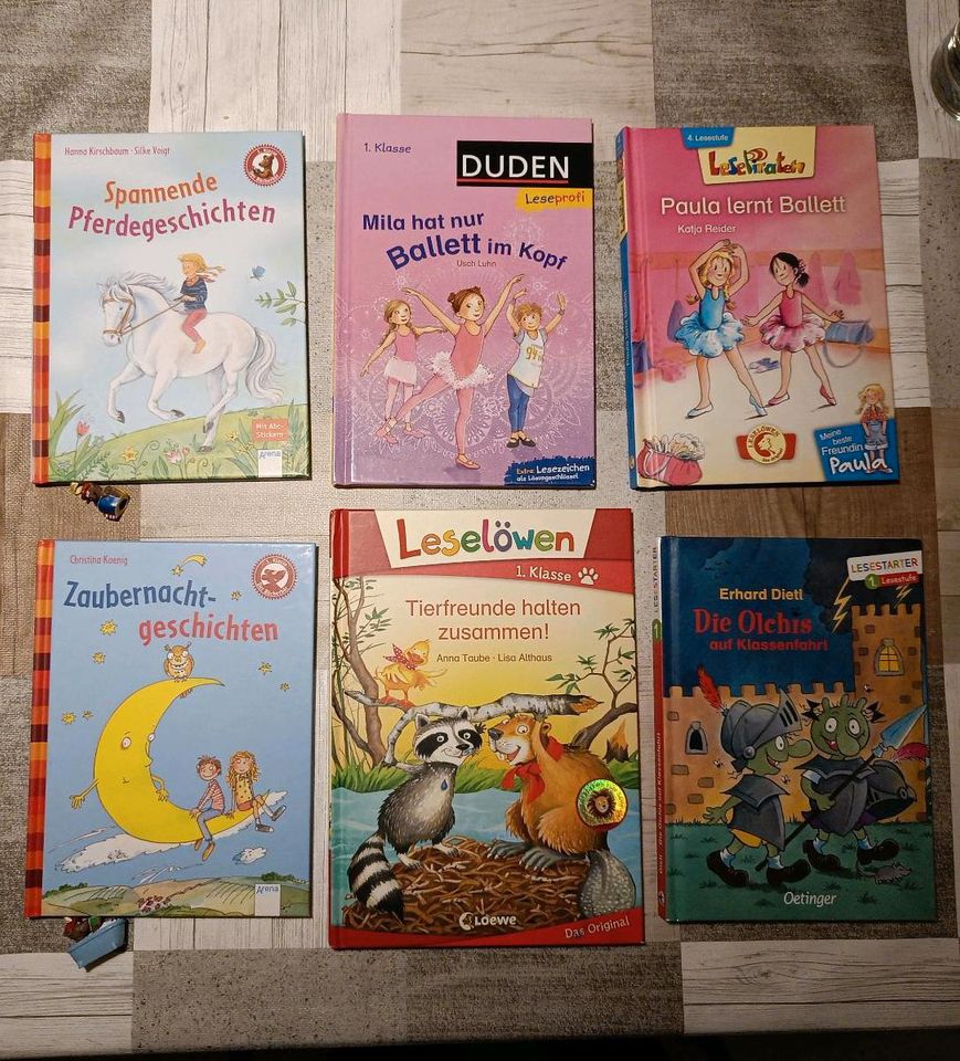 Erstleserbücher Bücher 1. Klasse für Mädchen und Jungen in Vohenstrauß