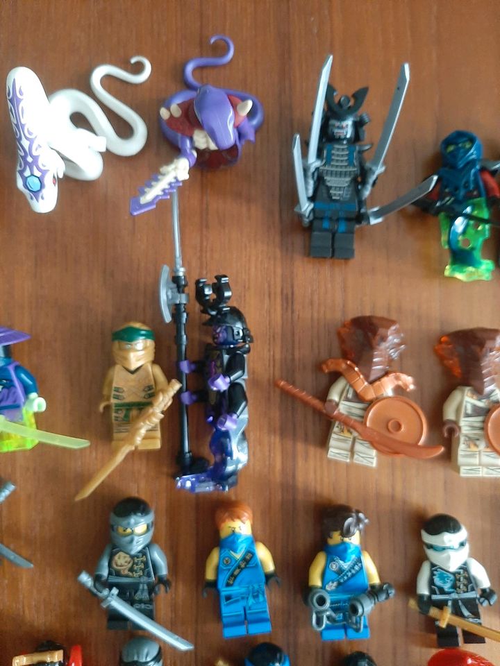 Lego Ninjago Pythor Chop'tai Nadakhan Yang Selten in Berlin