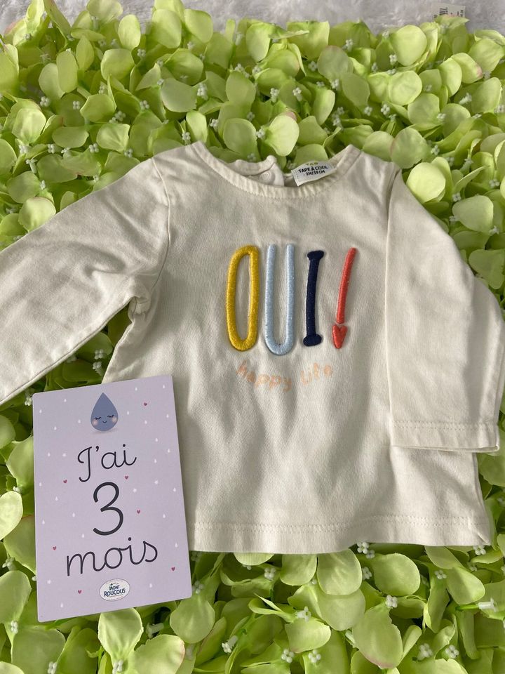 kleine Pullover und Langarmshirts von 0 bis 3 Monaten. in Saarbrücken