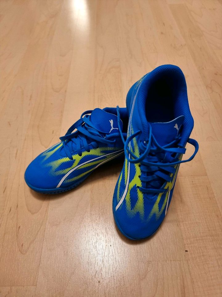 Fussballschuhe Kinder Puma blau Halle Grösse 33 in Landshut