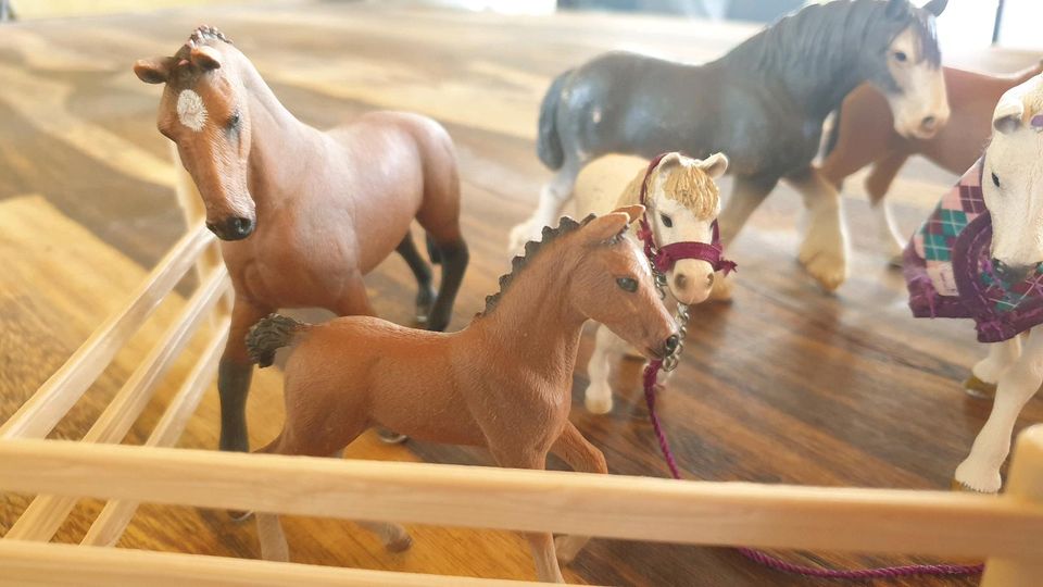 Schleich Pferde 9-teilig in Trier