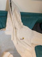 Carhartt Kapuzenpulli Saarland - St. Ingbert Vorschau
