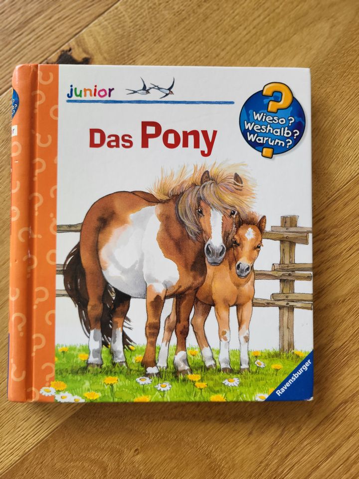 Wieso Weshalb Warum Junior Das Pony in Neuhausen