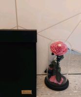 Infinity Rose inkl Verpackung (rosa) Bayern - Straubing Vorschau