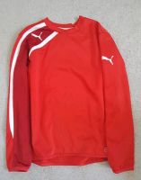 Puma Pullover Sport S Damen rot Simmern - Hunsrück Vorschau