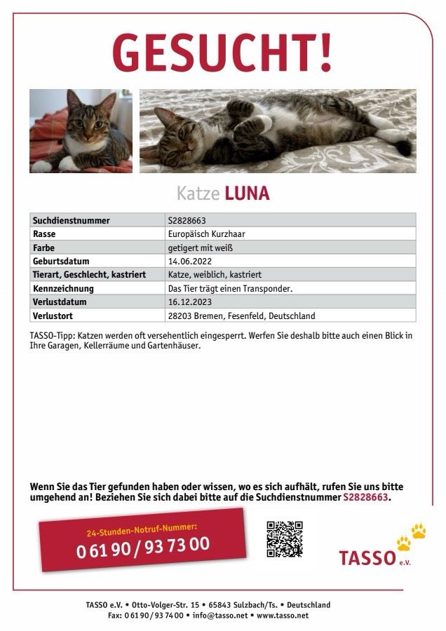 Luna wird vermisst in Bremen
