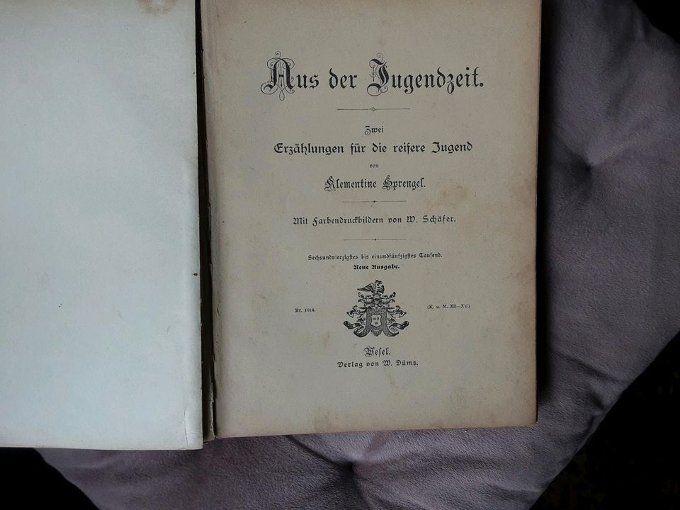 Antikes Buch-Aus der Jugendzeit von ca.1905 in Melle