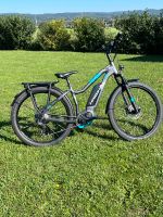 Haibike 7.5 Trekking , ebike, 1000 Wh aufgeteilt auf 2 Akkus Rheinland-Pfalz - Wittlich Vorschau