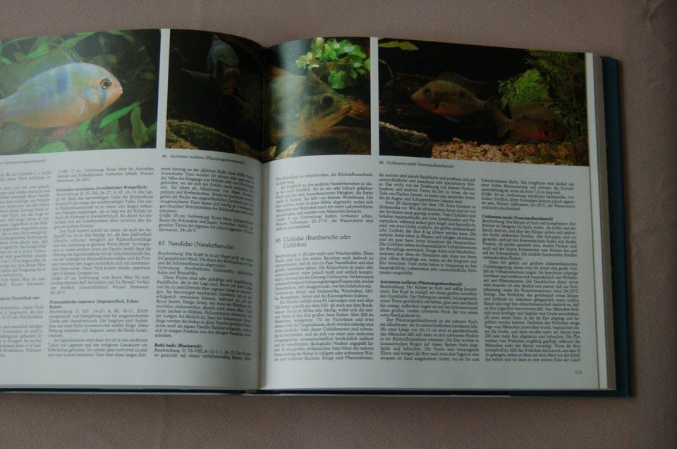 Aquaristik Buch - Lebensraum Aquarium in Erkrath