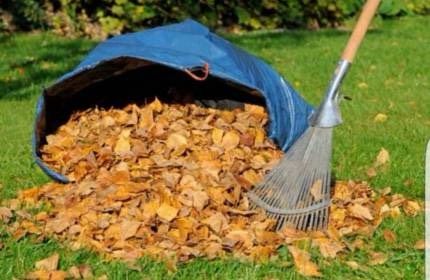 Entsorgung von Grünschnitt Gartenabfällen Berlin und Brandenburg in Berlin