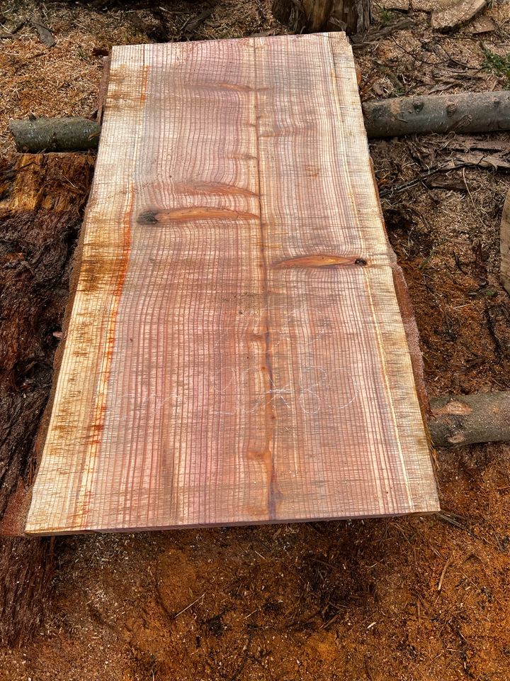 Mammutbaum Bohlen Tischplatte Woodwork DIY Redwood Baumstamm in Hachenburg