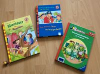 Kinderbuch Buch Ritter Dino Baumhaus Schule Pirat Abenteuer Bayern - Donauwörth Vorschau