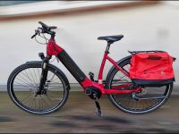 Ebike Manufaktur  EBM 13ZEHN Continental Pedelec motor  Garantie Hessen - Kassel Vorschau