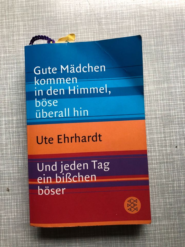 Buch. Gute Mädchen kommen in den Himmel, böse überall hin in Nürnberg (Mittelfr)